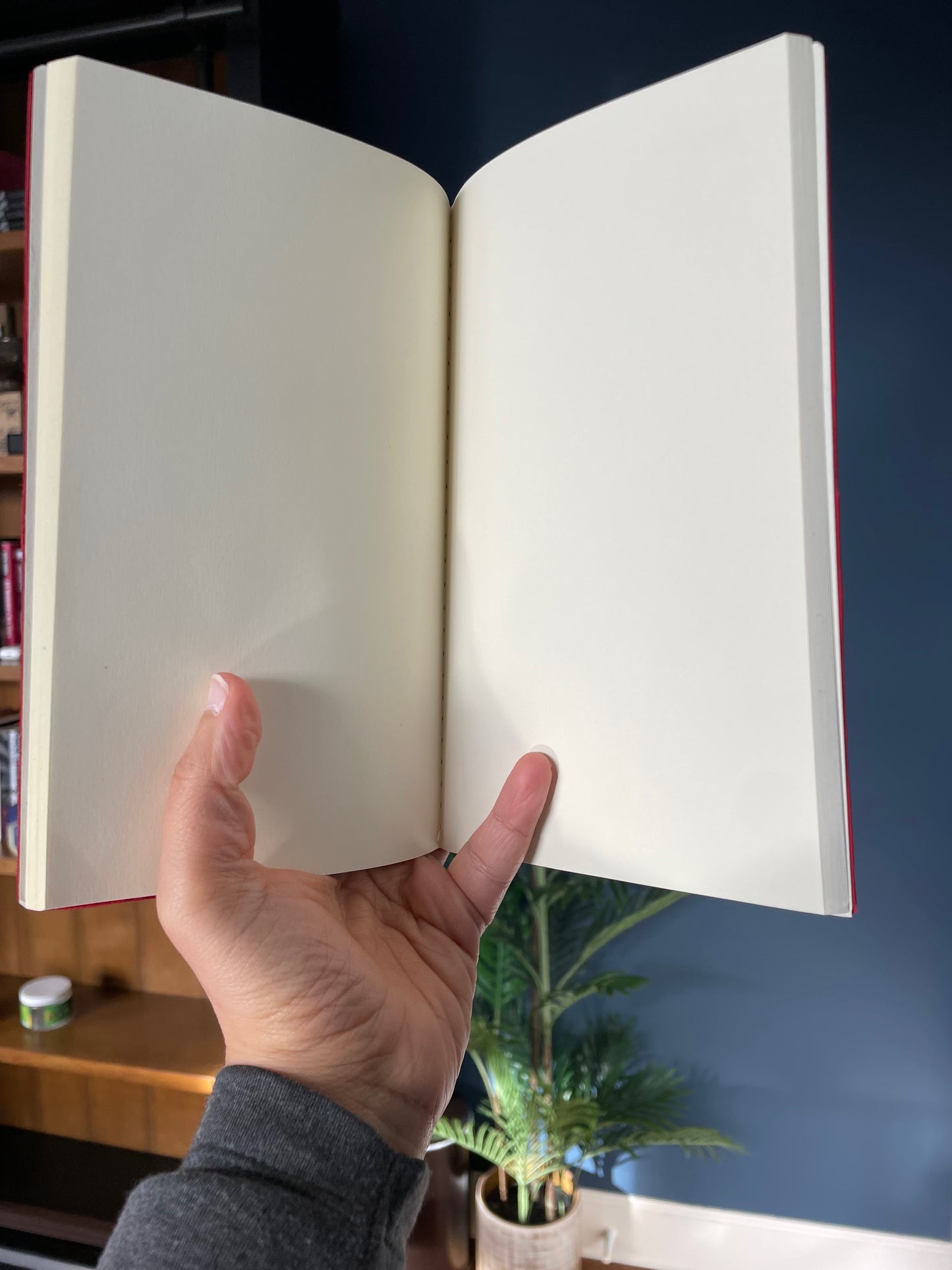 Handmade Red Suede Journal — Leather-Bound Notebook for Writing, Sketching & Gifting